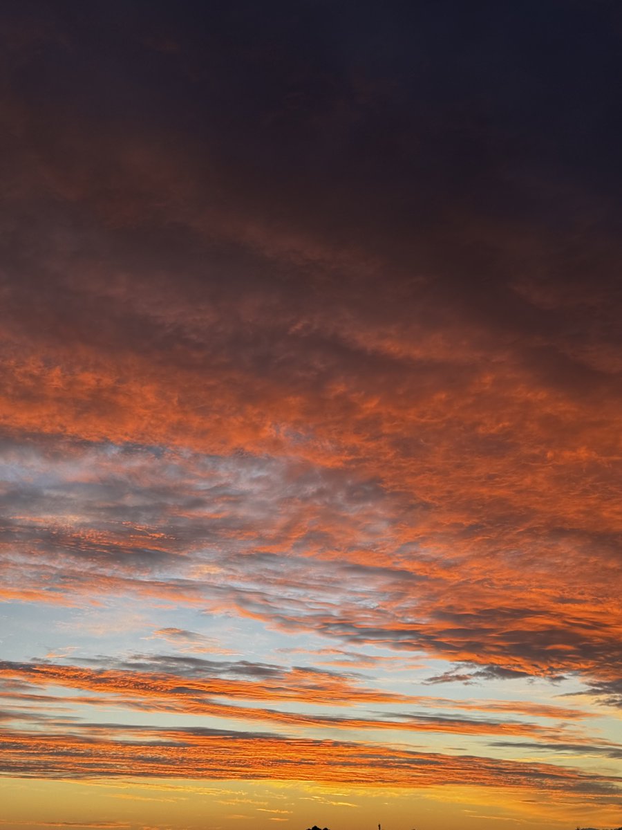 MartinMartinM2x's tweet image. J’adore putain !
Star vers 08h10-15

Besoin de profiter de ce magnifique spectacle que m’offre la nature 

twitch.tv/martinmartin_m…