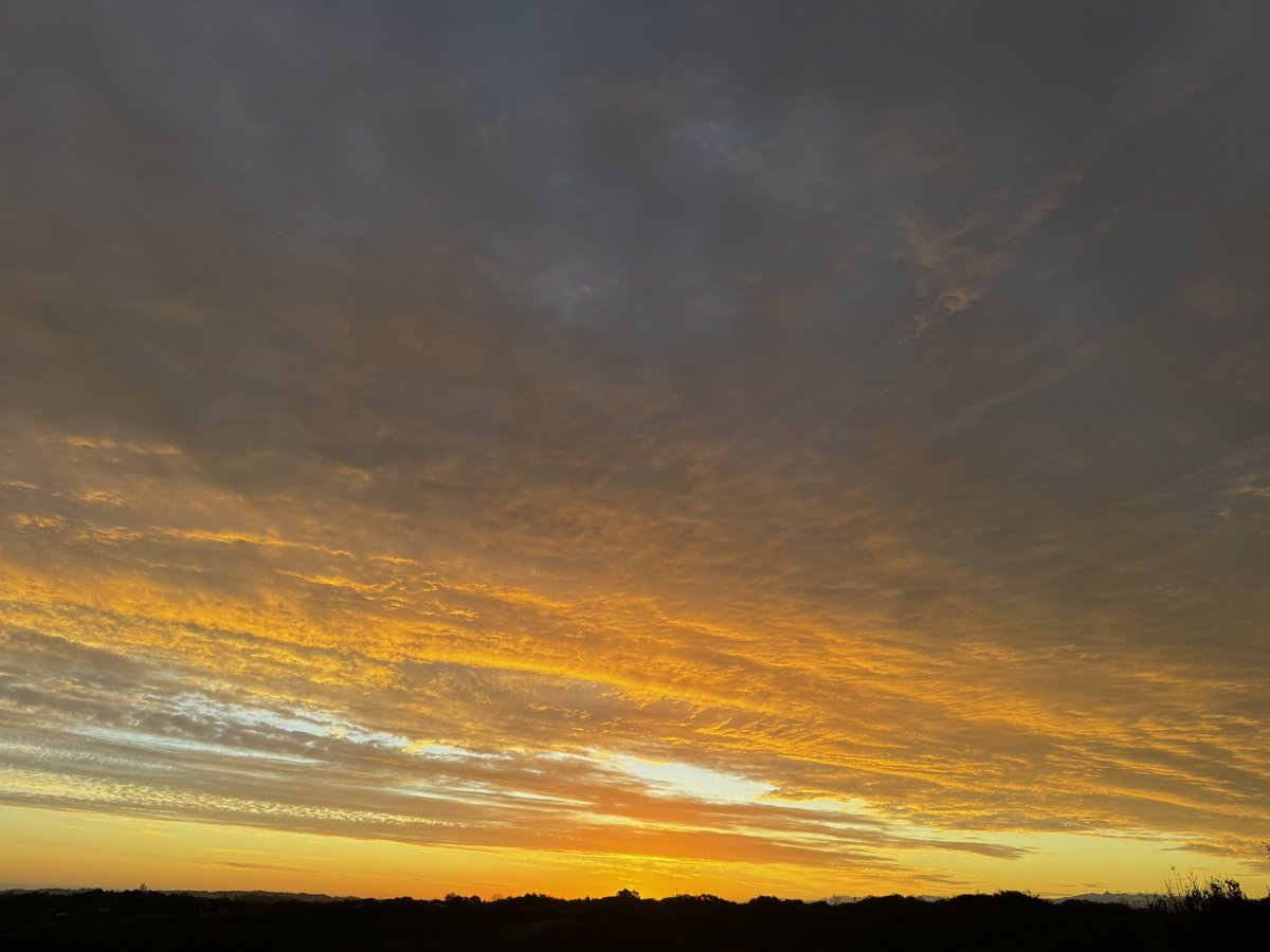 MartinMartinM2x's tweet image. J’adore putain !
Star vers 08h10-15

Besoin de profiter de ce magnifique spectacle que m’offre la nature 

twitch.tv/martinmartin_m…