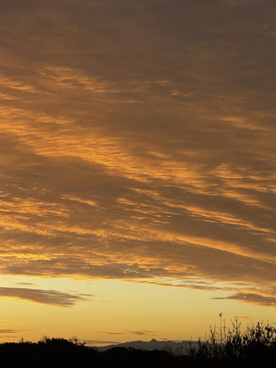 MartinMartinM2x's tweet image. J’adore putain !
Star vers 08h10-15

Besoin de profiter de ce magnifique spectacle que m’offre la nature 

twitch.tv/martinmartin_m…