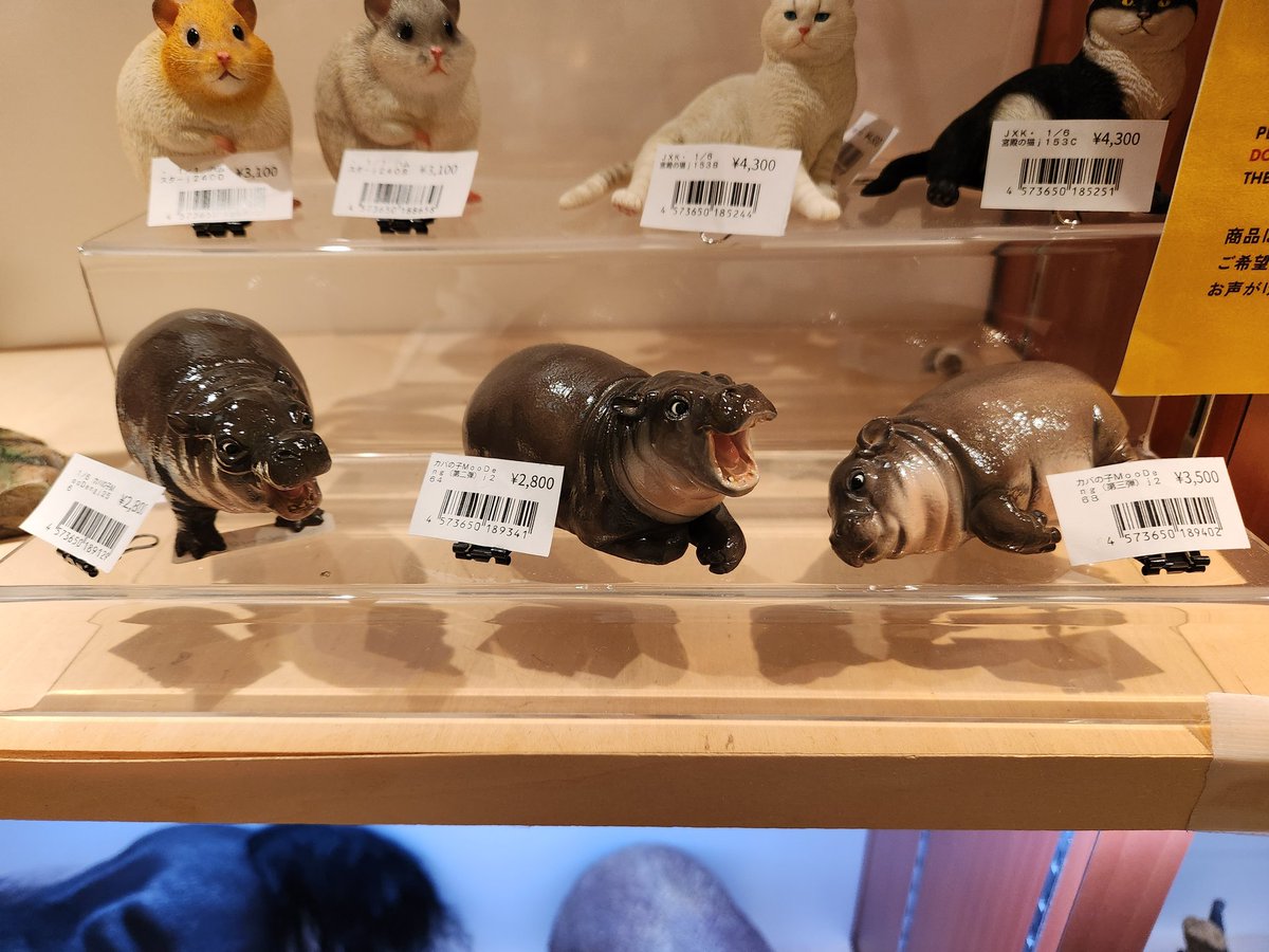 文教堂淀屋橋店 on X