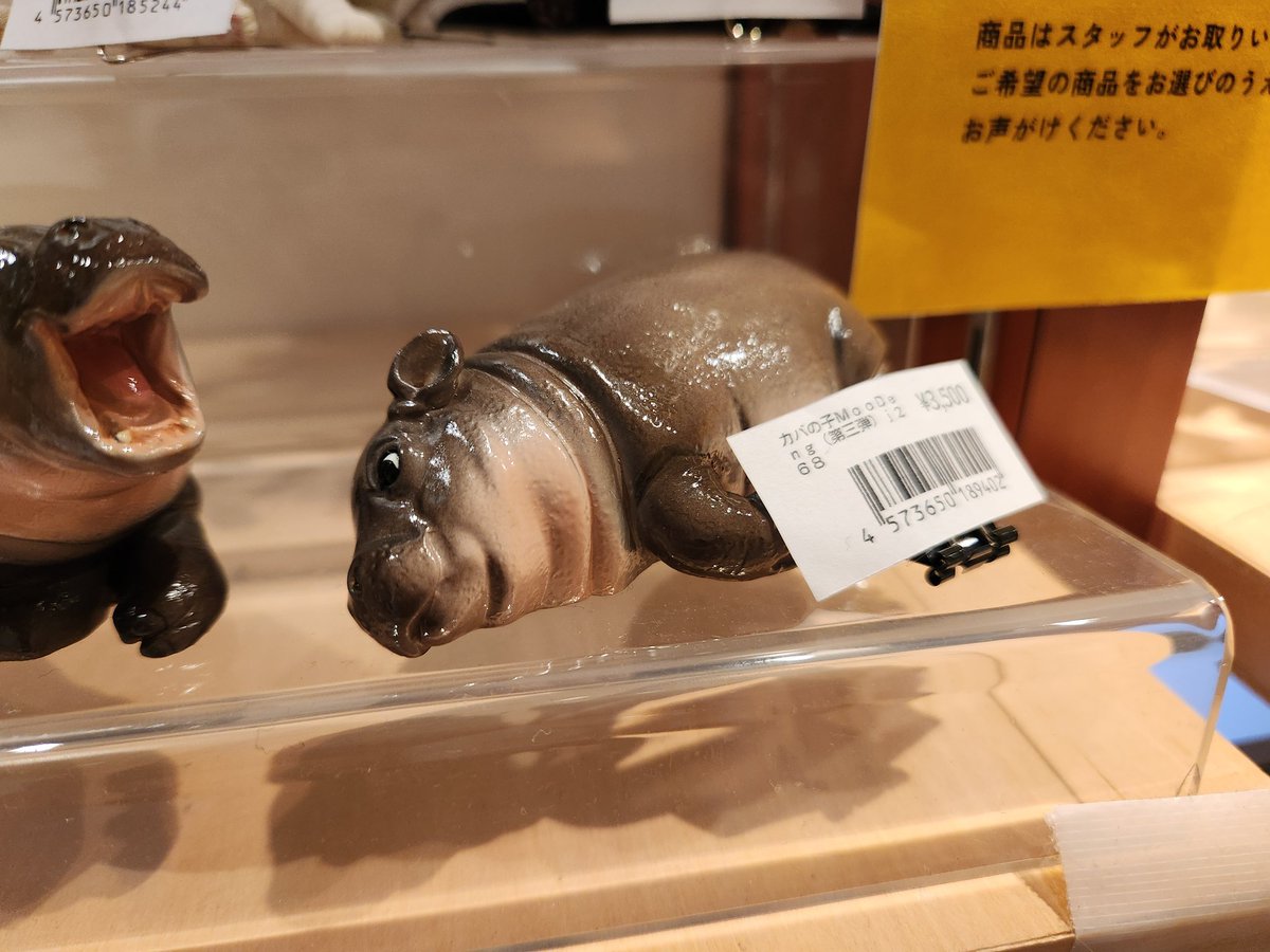 木彫動物⑅カバ(小)⑅インドネシア 文教堂淀屋橋店 on X