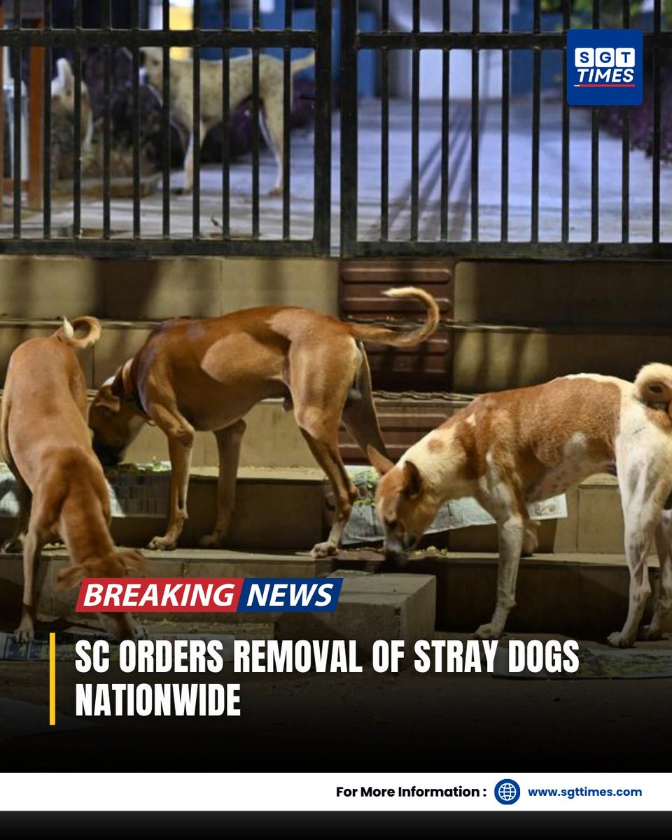 SGTTimes's tweet image. The Supreme Court has ordered that stray dogs be removed from schools, hospitals, bus stands, and other public places. The dogs will be shifted to shelters after vaccination and sterilisation. The Court said rising dog-bite cases make this step necessary. 
#StrayDogs #SCOrder