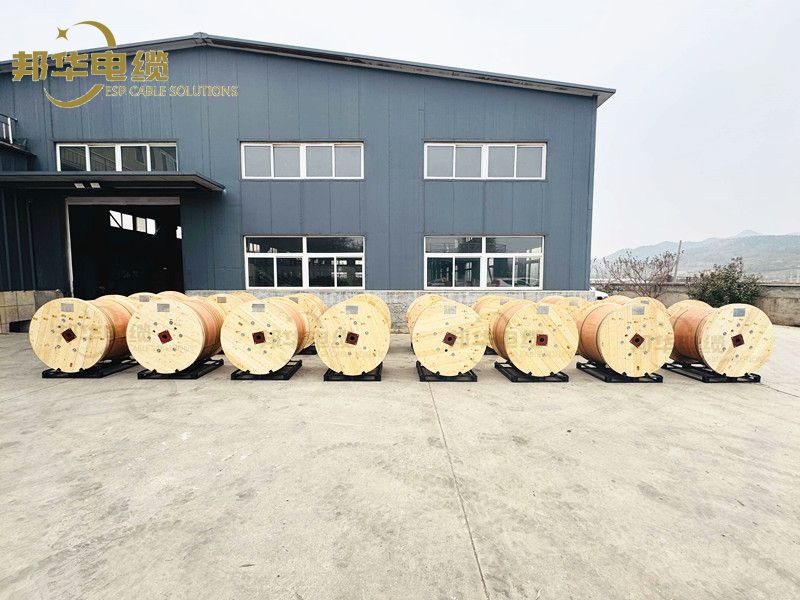 nan51129's tweet image. Due to the extreme professionalism, so production is extremely busy!
500+ Spools TEC cable &amp;amp; Capillary had been shipped in the past 3 month.
Thanks the trust of all our clients!
For inquiry, please contact with:
Email: sales05@espcablesolutions.com
#TEC #ControlLine #WellTesting