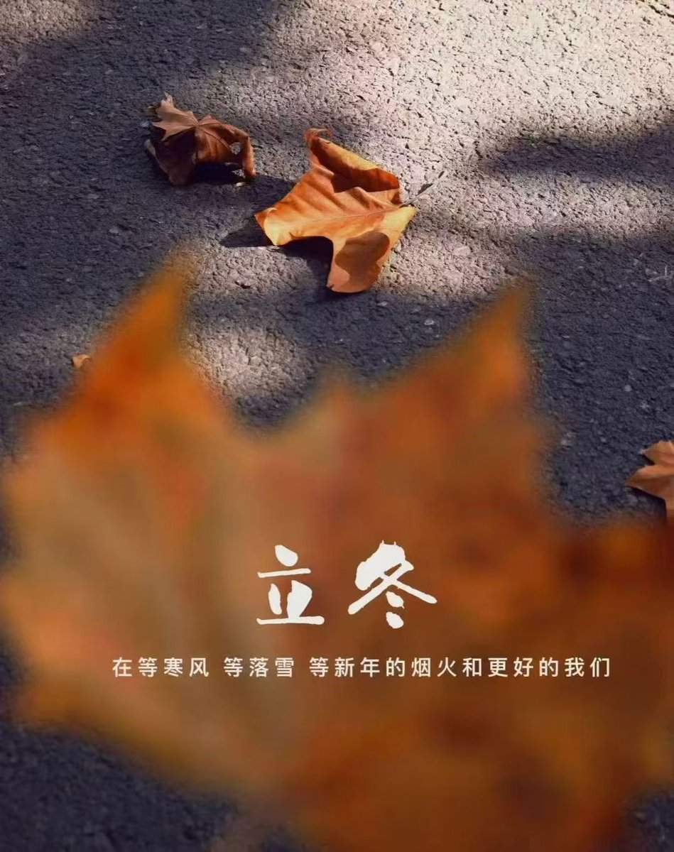 不知不觉，冬已来！
#龙虎天下绝