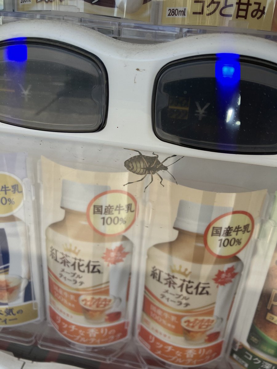 45@気ままに釣行記 on X