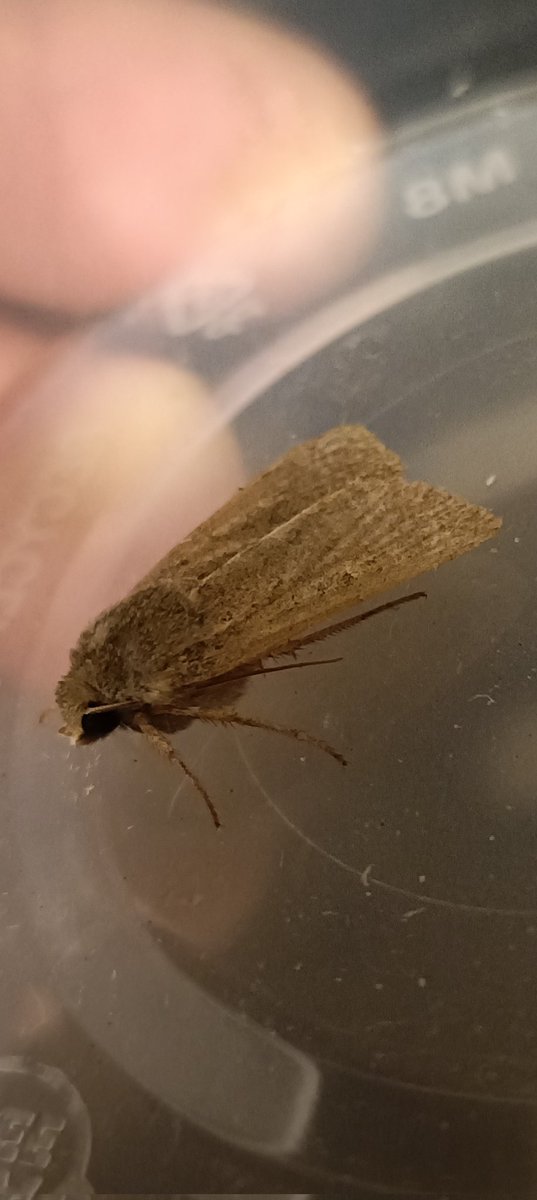 kevin stead tweet media