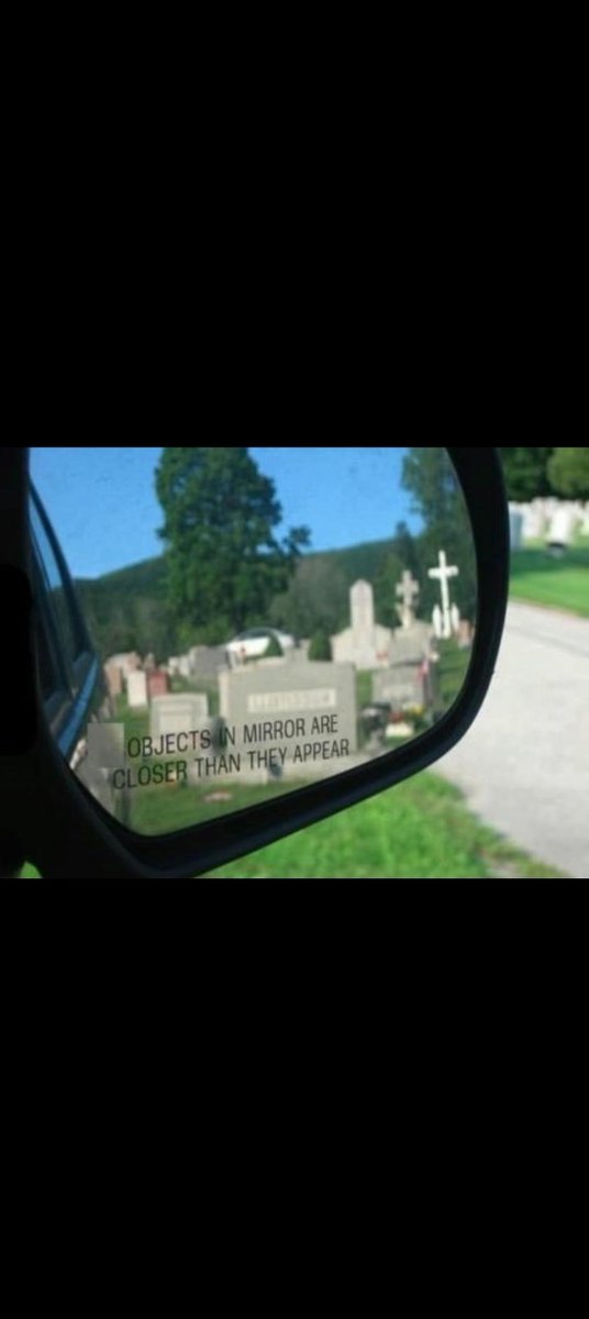 WaveBtx's tweet image. GM guys
NFA today 🐐♟️😁