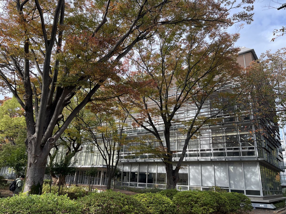 石山大 tweet media