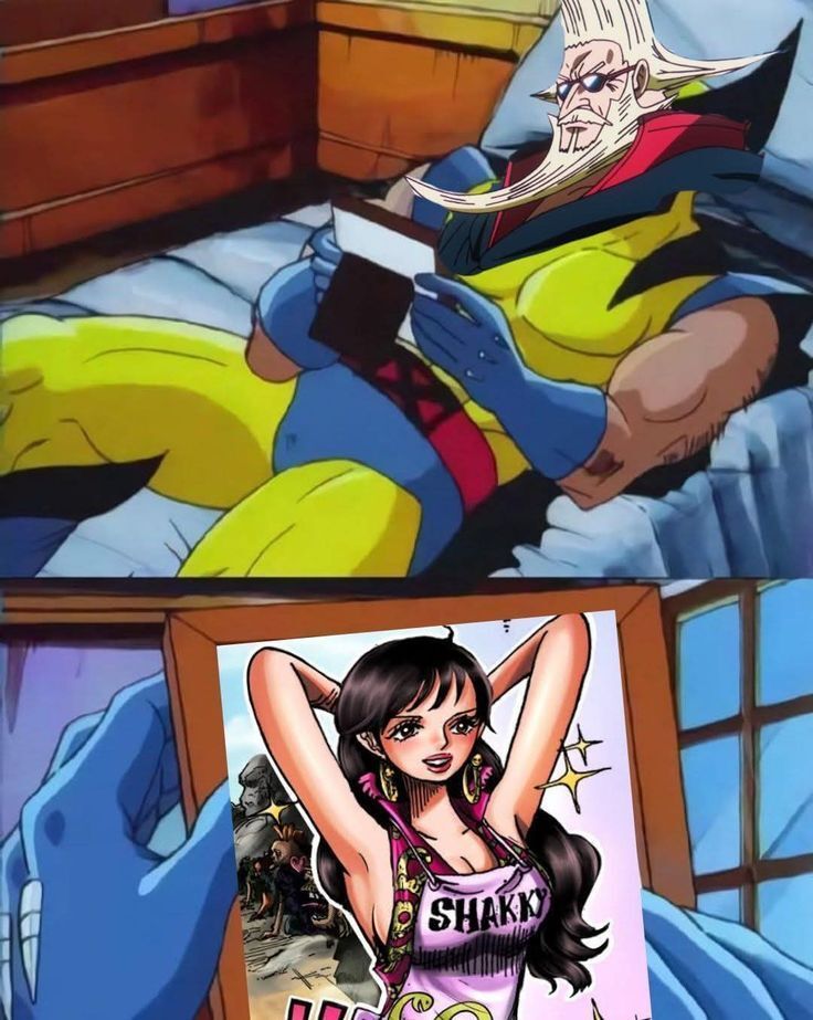 One Piece Daily tweet media