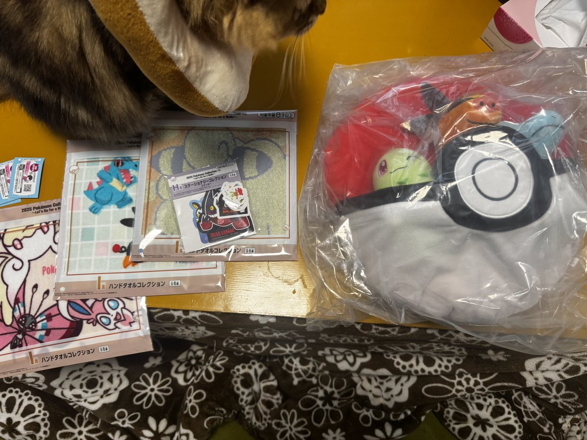 gichi_kanda's tweet image. ( 厂˙ω˙ )厂うぇーい

一番くじポケモンA賞3発取り！
追加2枚買ったけどハンドタオルが増えただけだった←