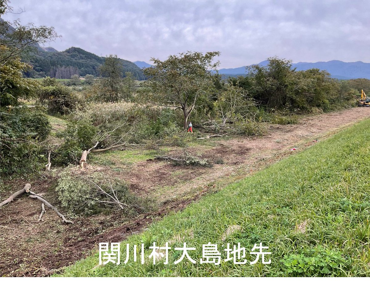 mlit_uetsu's tweet image. 👷関川村、村上市からの要請を受け、クマ対策を実施しています⚠️
クマの通り道となっていると思われる荒川河川敷の草木を重機で踏み倒すことにより、視認性を向上させ、クマの早期発見や移動範囲を狭める効果を期待しています。
＃関川村 #村上市 #クマ対策