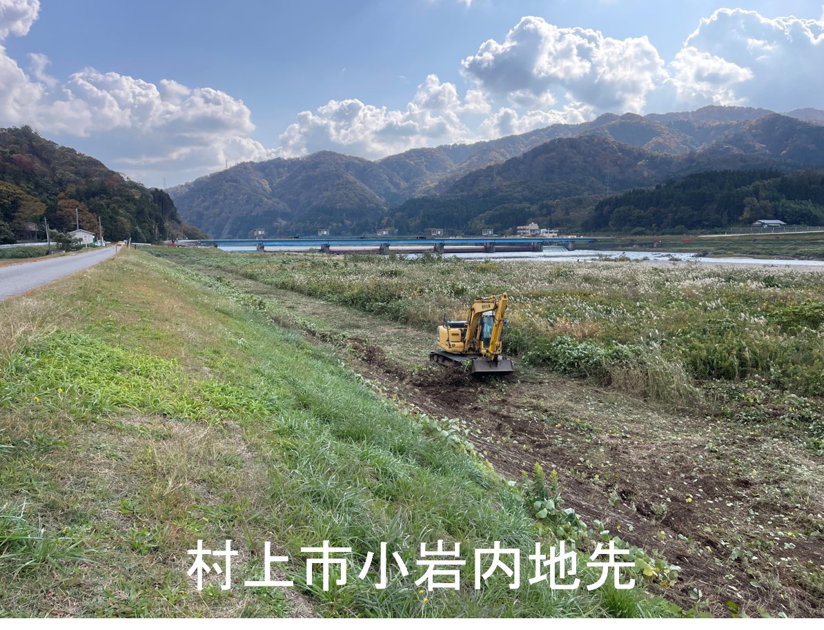 mlit_uetsu's tweet image. 👷関川村、村上市からの要請を受け、クマ対策を実施しています⚠️
クマの通り道となっていると思われる荒川河川敷の草木を重機で踏み倒すことにより、視認性を向上させ、クマの早期発見や移動範囲を狭める効果を期待しています。
＃関川村 #村上市 #クマ対策