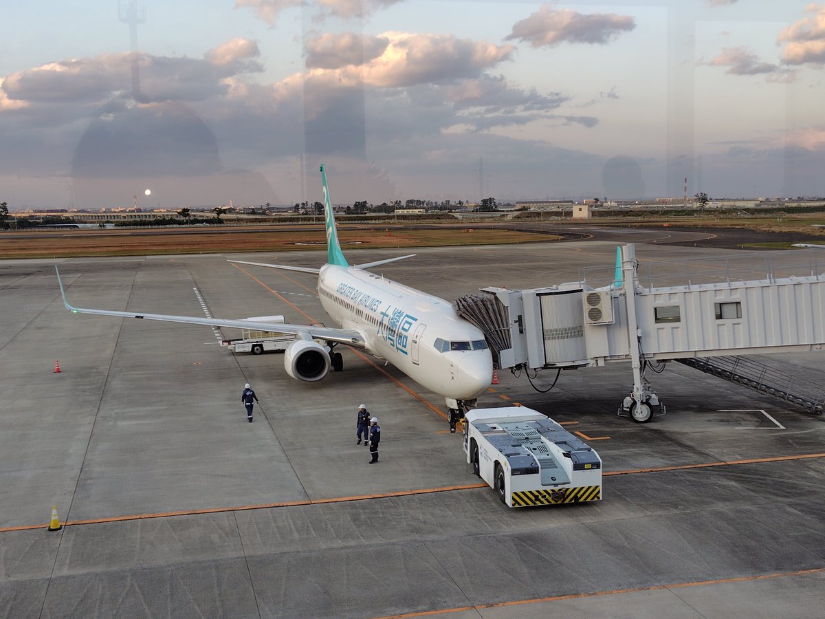 てるよ tweet media