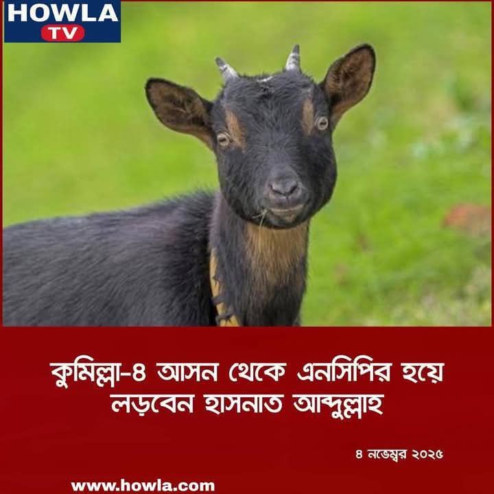 J.🇧🇩 tweet media