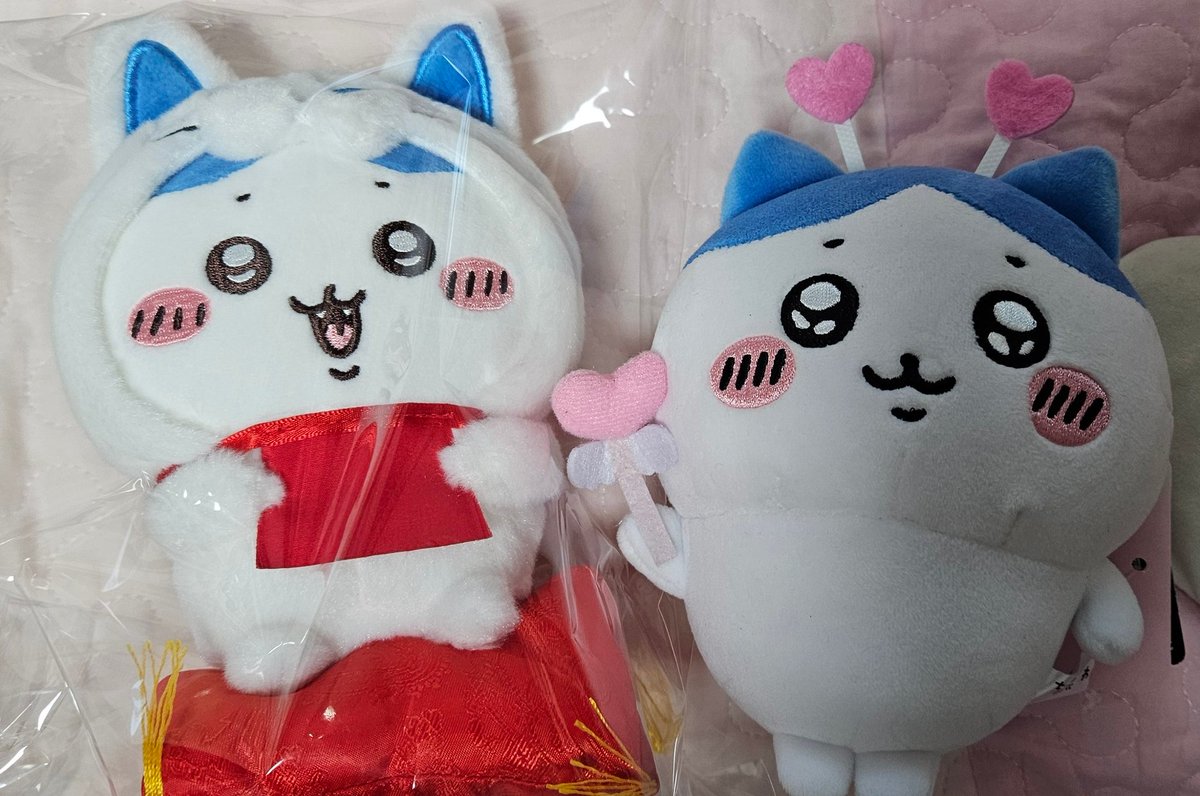 사료 サリョ tweet media