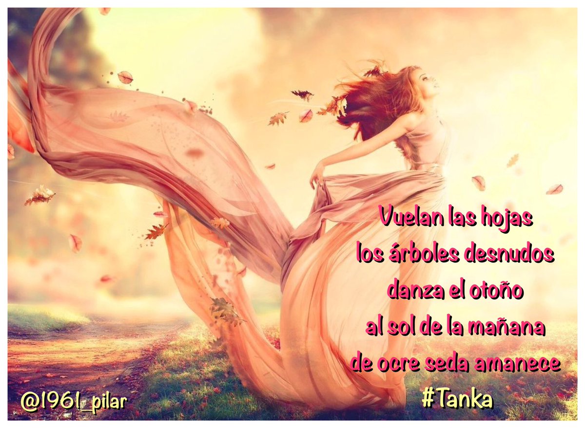 Un nuevo amanecer ¡Buen fin de semana!

#FF para ti, que me lees a flor de piel. 

Vuelan las hojas...

~Tanka~

#LYF15  #VAFlorDePiel