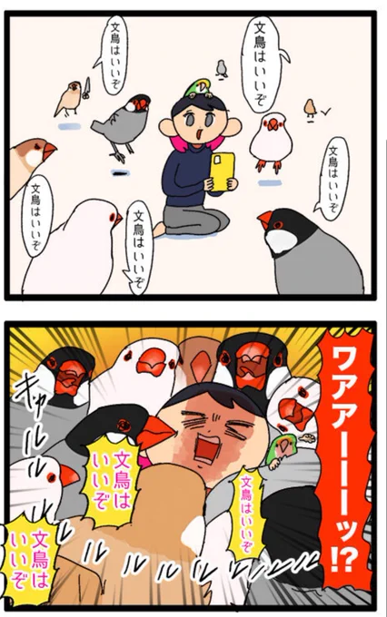 助けて!通知欄に一生文鳥が!!!(笑顔) 