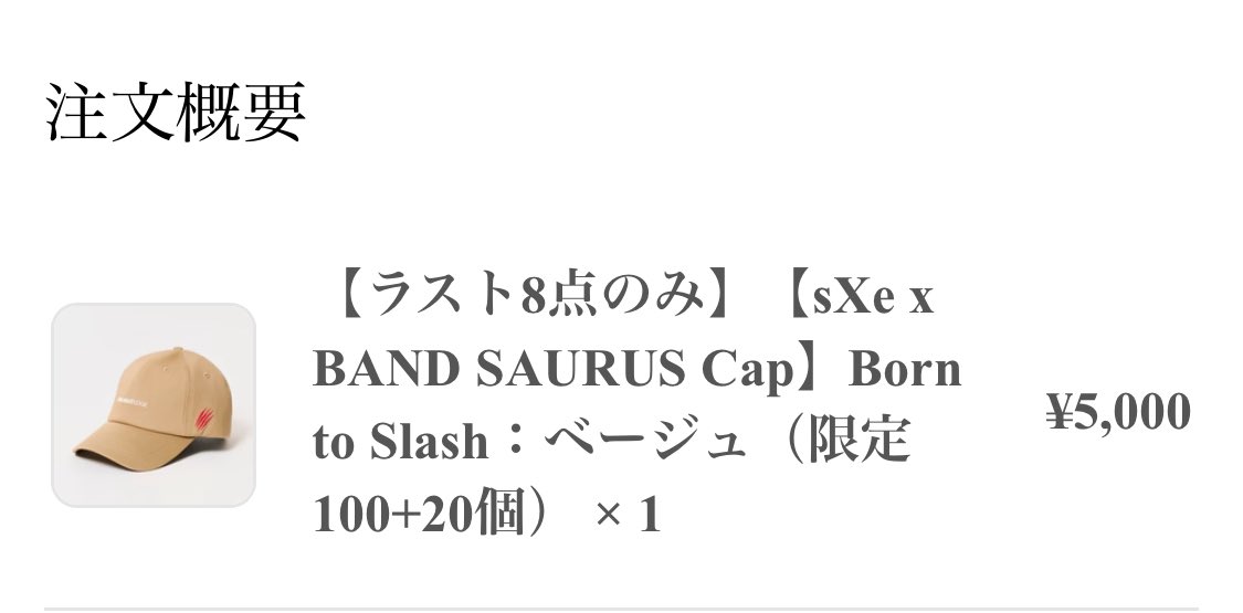 パーカー、Tシャツに続き、
現地で買えなかったキャップ買えました！
#straightedge
#BANDSAURUS
#おじダン
#愛のテレパシー