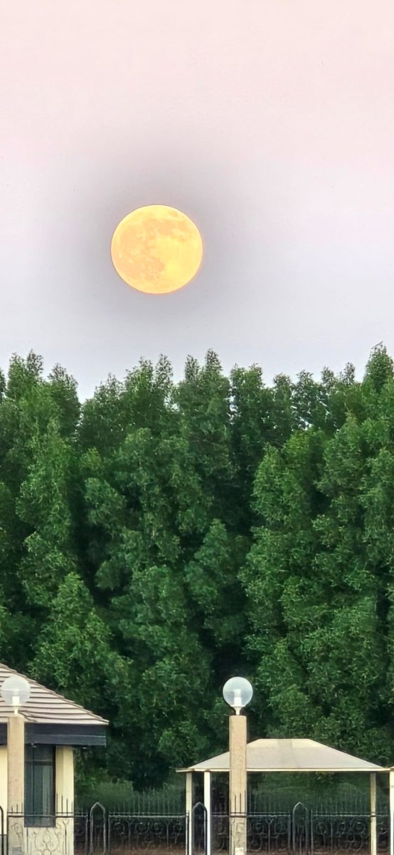 SamerKinan2025's tweet photo. #Kuwait_Moon in November - Photo by #Asmaa. H https://t.co/XpbrJzFZec