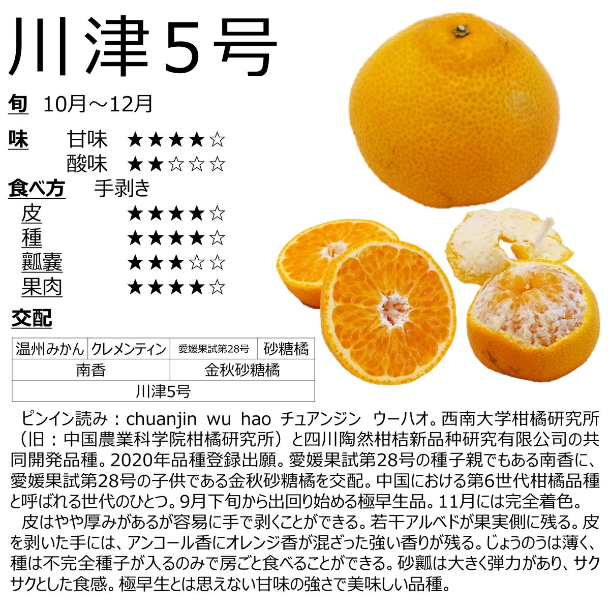 みかんページ みかん様 ミカン様 ミカン様 蜜柑様 レビュー】ZX