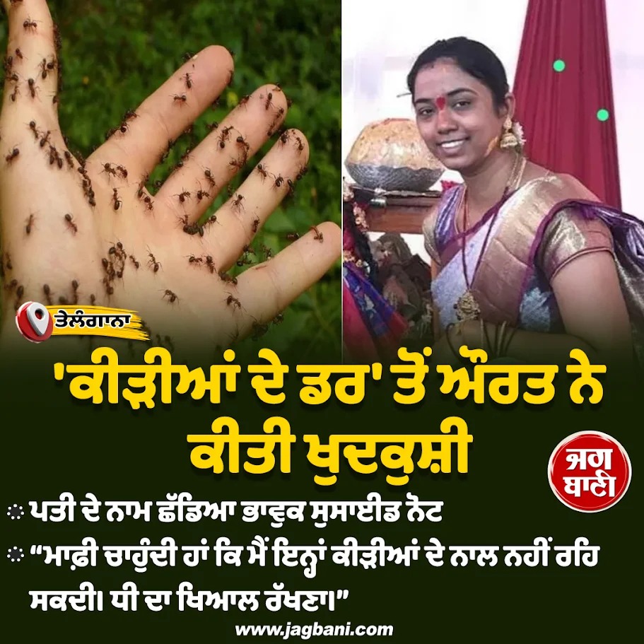 JagbaniOnline's tweet image. &apos;ਕੀੜੀਆਂ ਦੇ ਡਰ&apos; ਤੋਂ ਔਰਤ ਨੇ ਕੀਤੀ ਖੁਦਕੁਸ਼ੀ
#Woman #commits #suicide #fearants