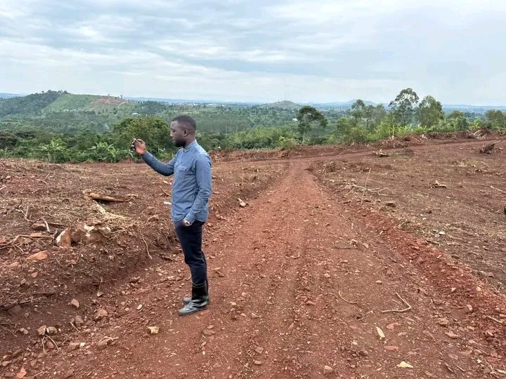 Krmodernsi61758's tweet image. Kairi Nampunge 
50×100FT 
10,000,000 she 
Ready LAND TITLE 
#testedandtrusted krmodernsitesltd.com