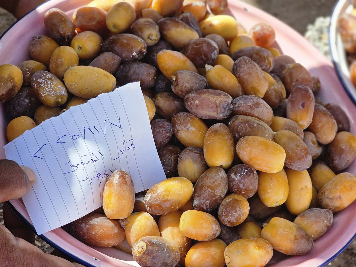 سالم الدغيشي tweet media