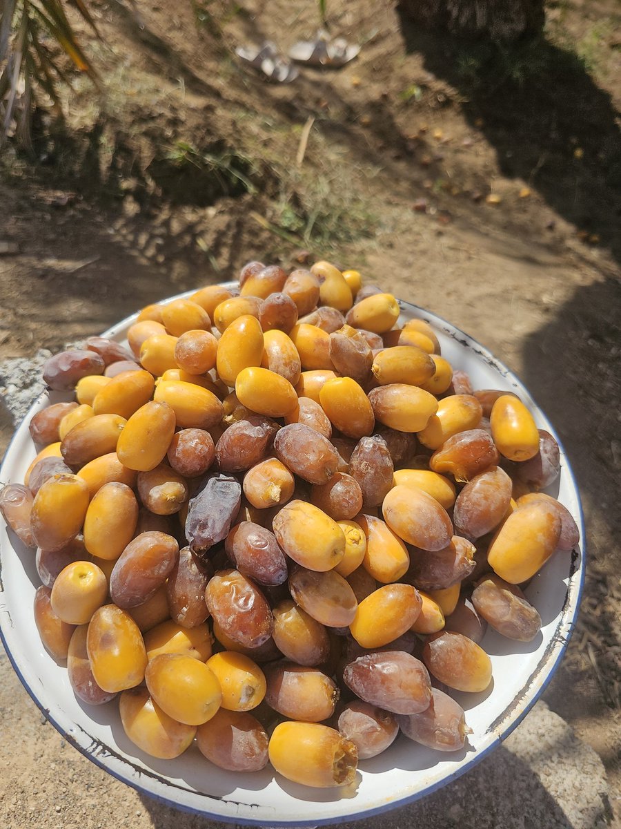 سالم الدغيشي tweet media