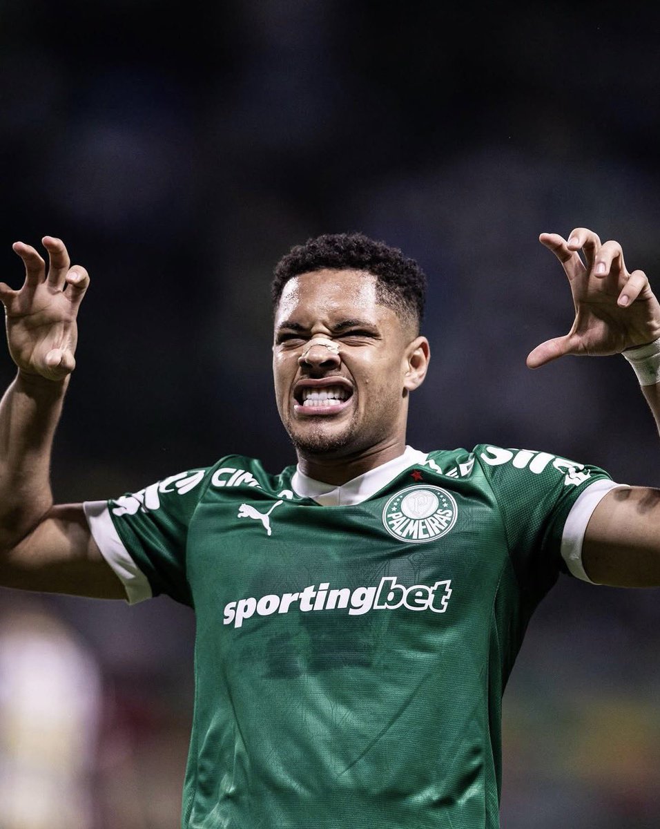 vitorroque_VR's tweet photo. Obrigado meu Deus por tudo, muito feliz pela vitória e pelos gols!! 💚🐷 https://t.co/ZocirLjJ9h