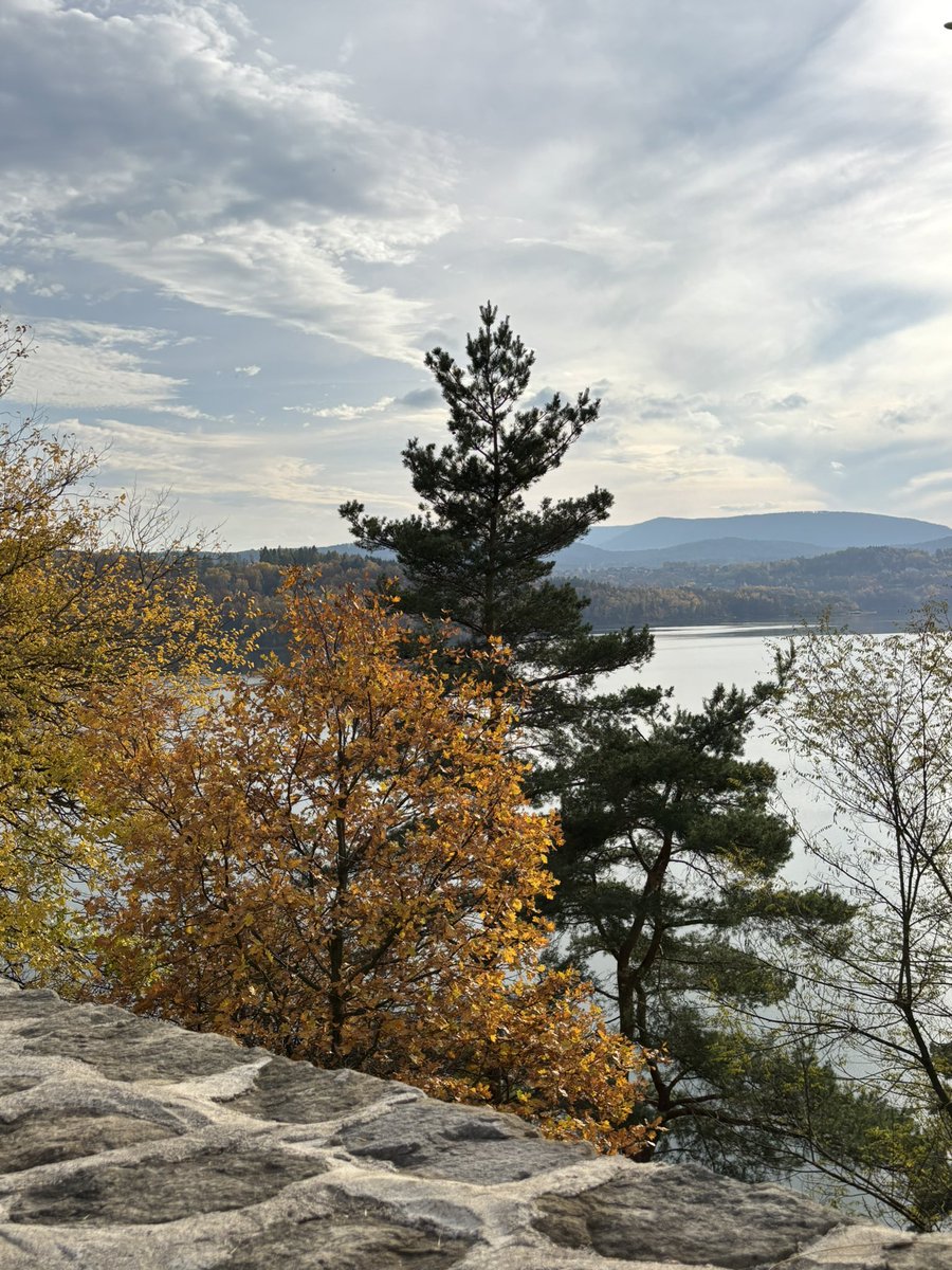 ArkadyRzegocki's tweet photo. In the meantime, it’s worth visiting the royal castle in Dobczyce and the nearby reservoir.
Especially in autumn, they look truly charming 🍁🍂🌞🇵🇱
#Dobczyce #RoyalCastle #DobczyceReservoir #Autumn #Poland https://t.co/fHPnxAUGVB