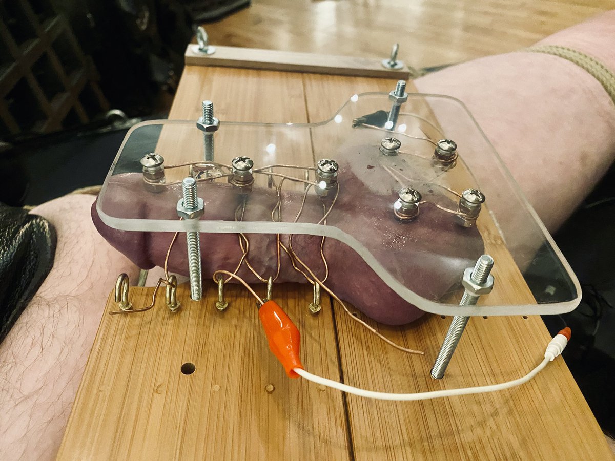 Elise Graves tweet media