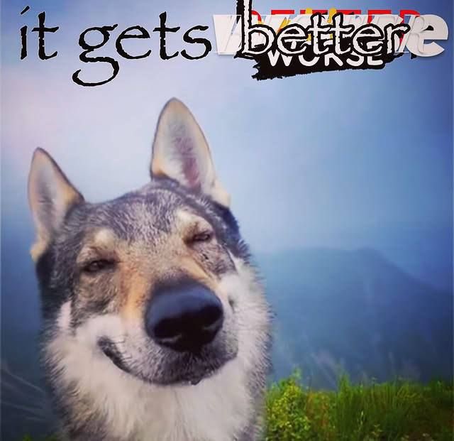 life is full of beauty and love ..my haters need to pray harder