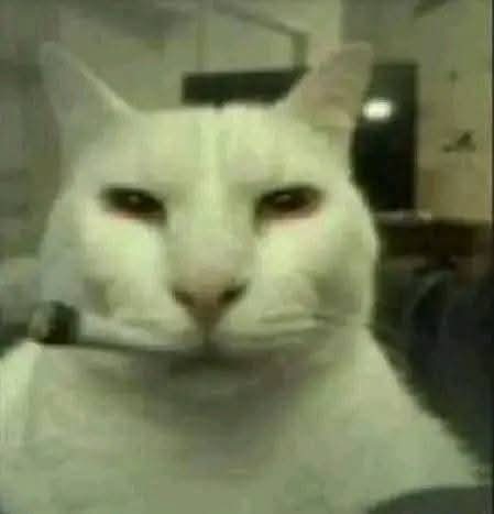 Ferdinand tweet media