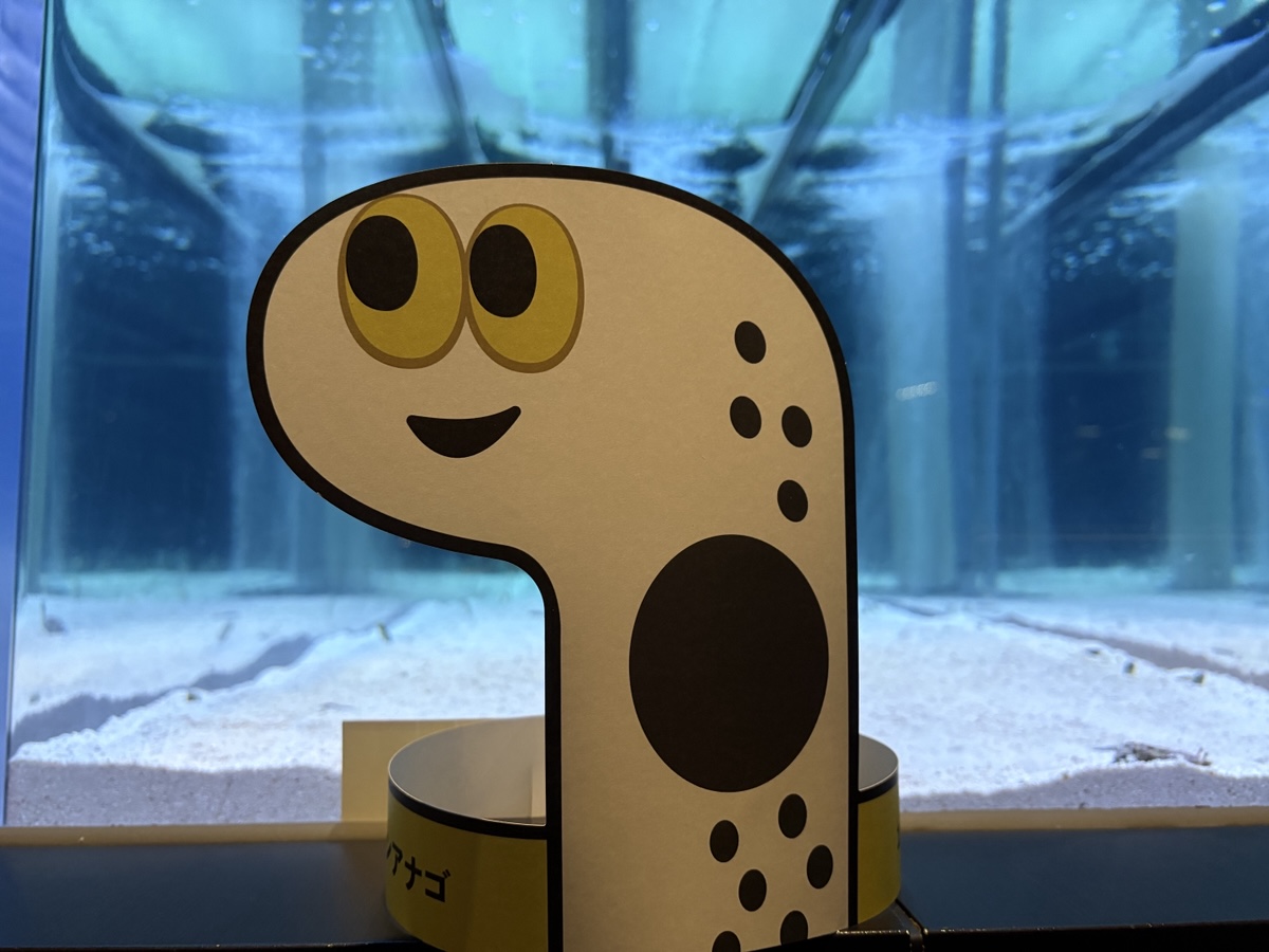 本日（11/8）から11/11まで限定でチンアナゴお面を配布✨ ぜひ、ゲット