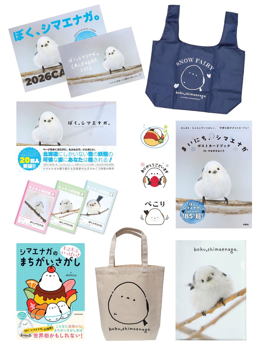 ぼく、シマエナガ。 (@daily_simaenaga) / Posts / X