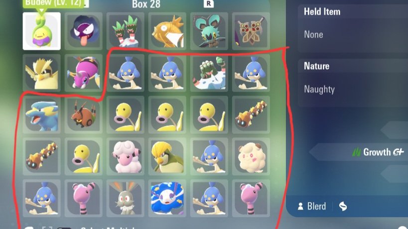 JayDBlerd tweet media