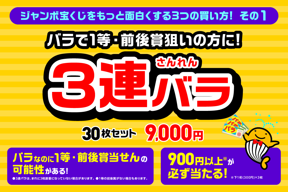 買い方いろいろジャンボ宝くじ！／ ジャンボ宝くじを30枚セットで購入