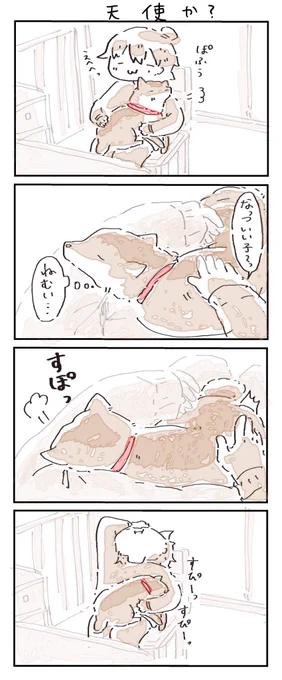 #4コマ漫画 #柴犬
天使か? 