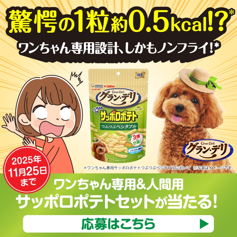 grandeli202003's tweet image. 🐶11月11日は「わんわんギフトの日」

11名様にワンちゃん用＆人間用サッポロポテトを11袋セットで🎁

グラン・デリ ワンちゃん専用サッポロポテトは、1粒約0.5kcal!?
ノンフライ製法で気軽にあげやすく、愛犬へのギフトに最適💕

応募方法
①このアカウントをフォロー
②この投稿をRT
〆切：11月25日