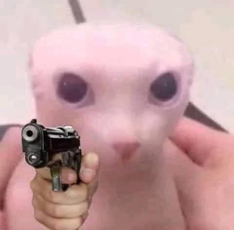 Ferdinand tweet media