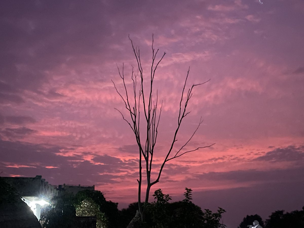 pratikatray's tweet photo. Pink sunset https://t.co/HLReimrDtU