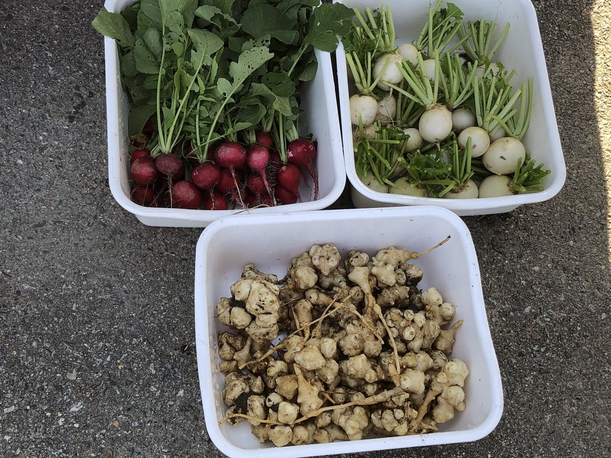 プチウインド様♡ありがとうございます♡ ☘️詩菜☘️💛心に響く事を伝えたい💛 (@Happy968ywin) / Posts / X