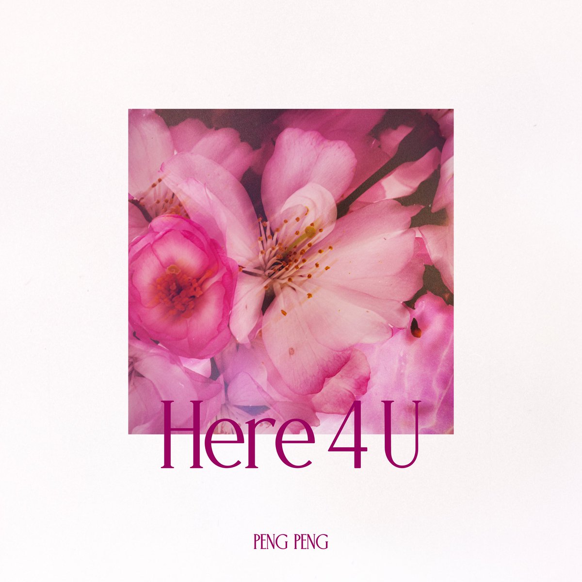 PENG PENG tweet media