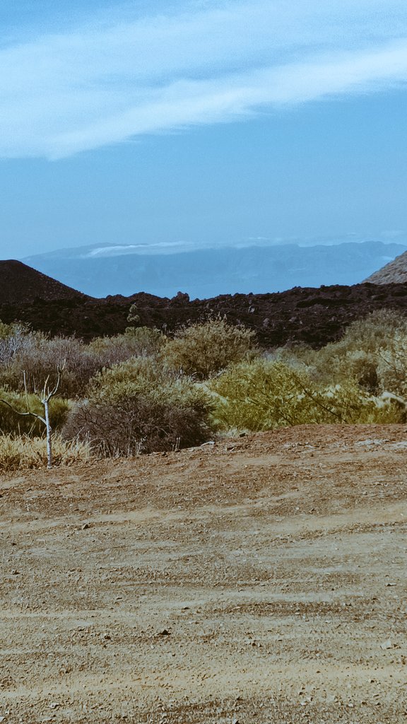 brettermacher's tweet image. Der Blick auf die Nachbarinsel über das schwarze Lava Feld  durch das ganze grün, ist doch ein guter Anfang für das Ende der Woche. Habt einen schönen Tag!