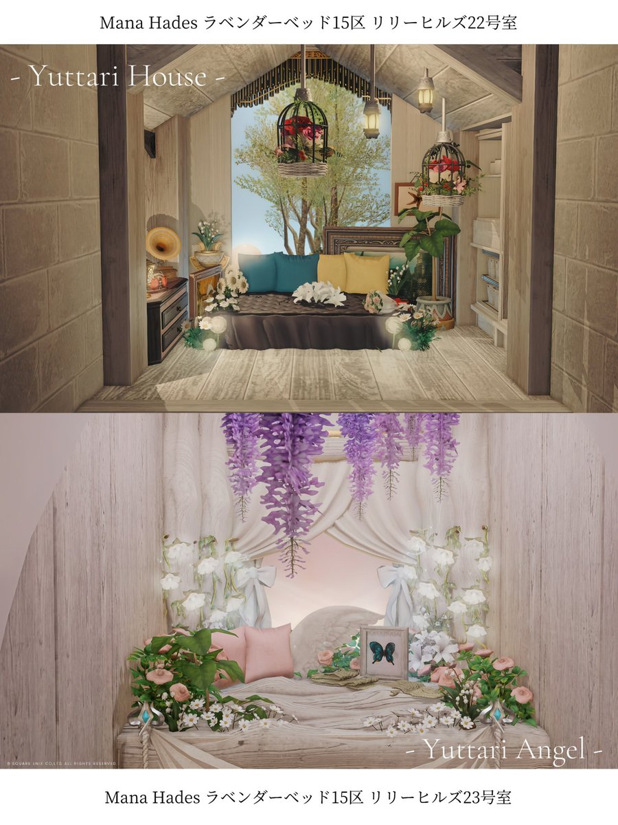 𝘔𝘪𝘶𝘳𝘪 𓏲𓎨 tweet media