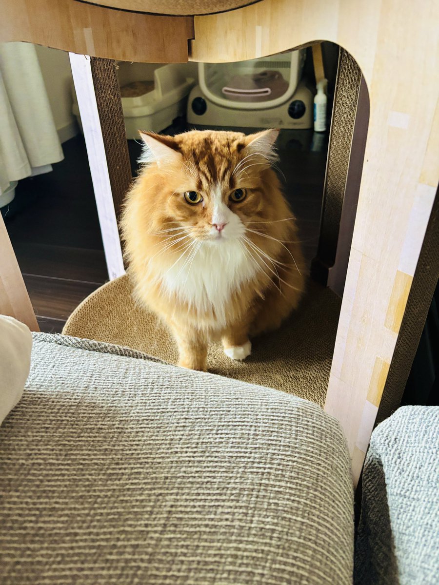 公式】株式会社TKS🚿 (@TKS_Corporate) / Posts / X