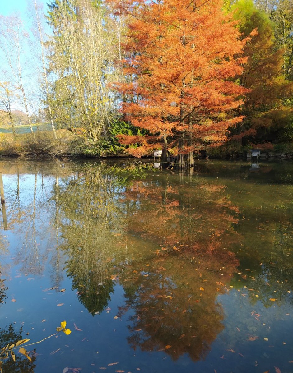 aydata3's tweet image. ～

Kışın en soğuk zamanında
Ben nihayet içimde yenemediğim
Bir yaz olduğunu öğrendim.

Albert Camus