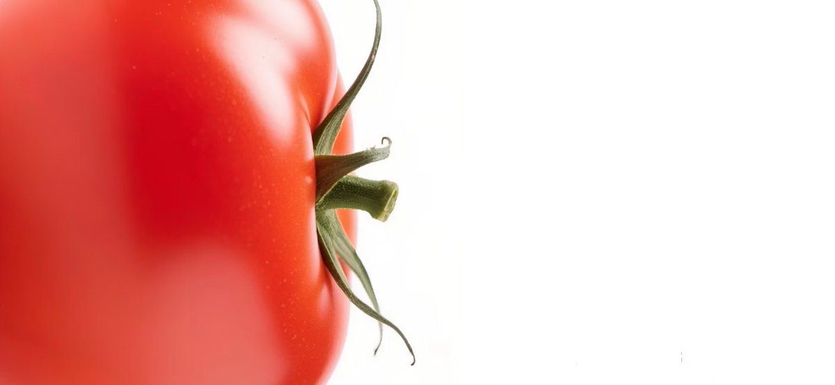 🍅🍅