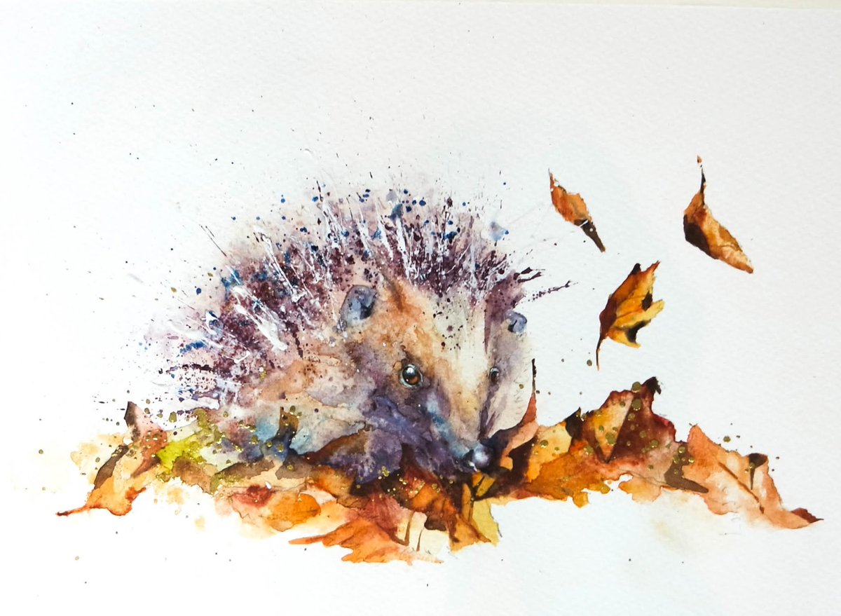 Elidanza's tweet photo. Hedgehog
Happy Friday xx
#watercolour #hedgehog #leaves #wildlife #endangered #watercolor #Autumn #watercolourpainting #Devon #protectwildlife #prickles #artist #art #painting https://t.co/DWGUMMcj6g