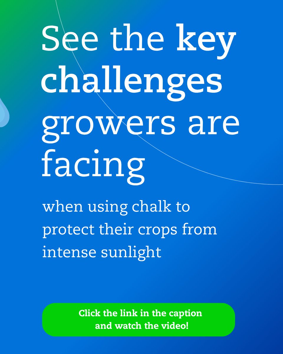 🌞 What if chalk isn’t giving your plants the protection they need?
 
Many growers rely on chalk to block sunlight, but chalk has its limits. In this video, we have summarized key challenges growers are facing ➡️ hubs.ly/Q03S7HPK0

#ValkHortiSystems #Chalk #PolyGreenhouse